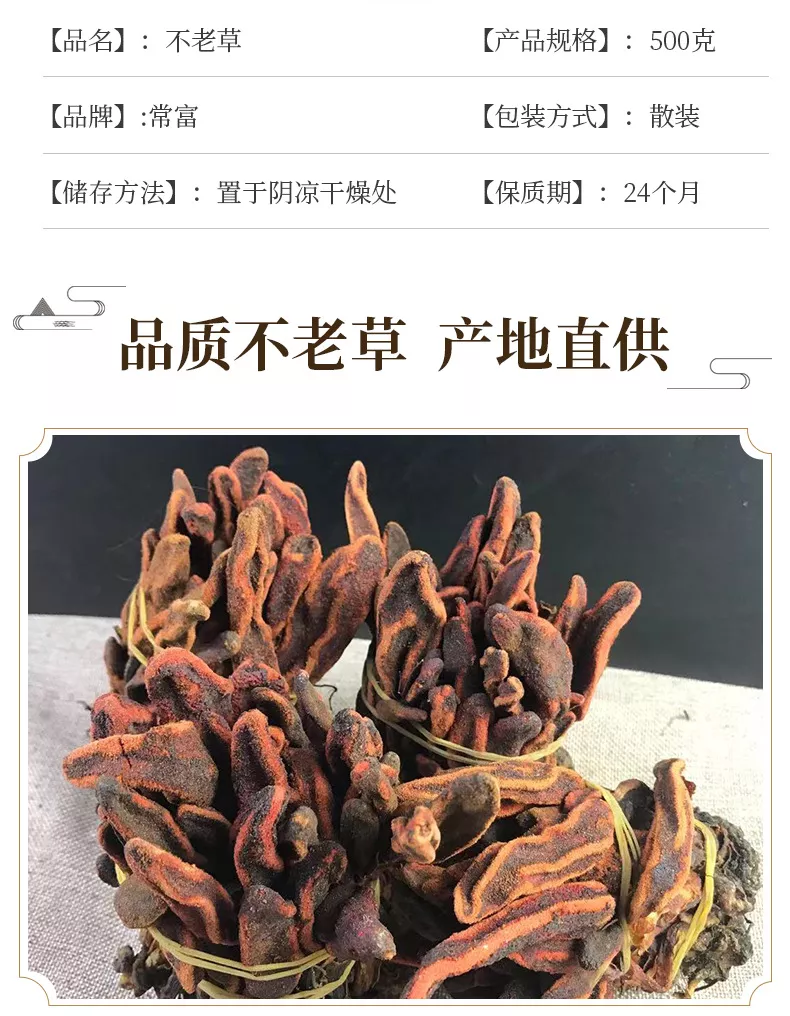 回生草功效图片